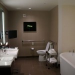 vdara5